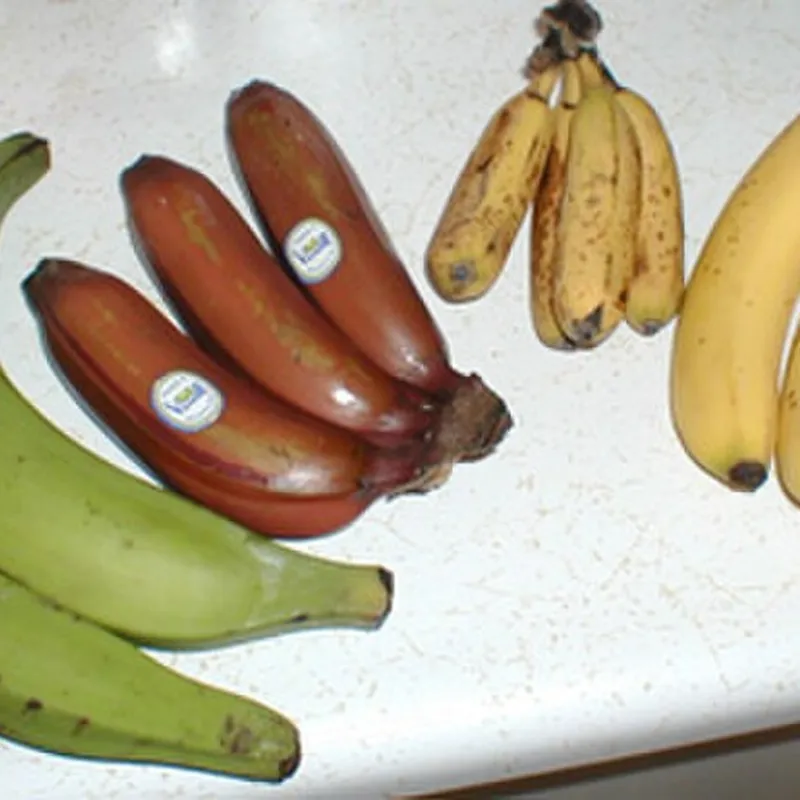 Banana Guineo