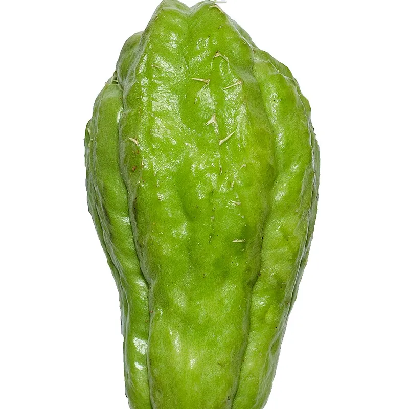 Chayote