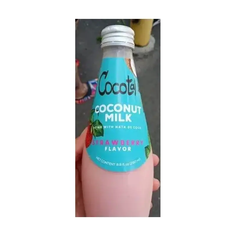 Cocotal Coconut Milk – Strawberry