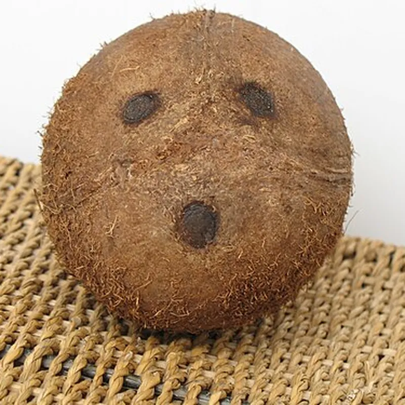 Dry Coconut