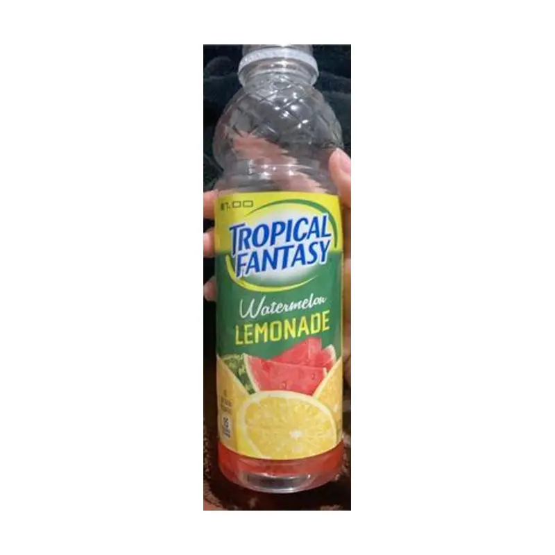 Tropical Fantasy Drink – Watermelon Lemonade