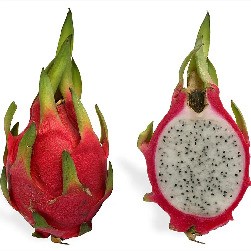Pitahaya Blanca